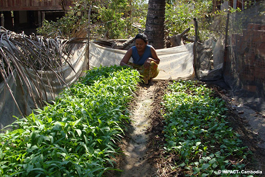 [Photo: Home Garden at Preah Put Commune]